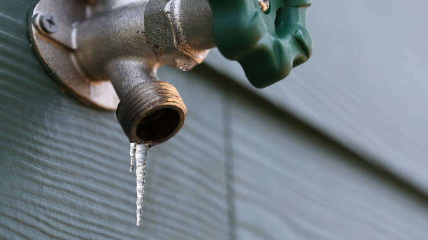 Best Shower Repair Services  in Lebanon, OR